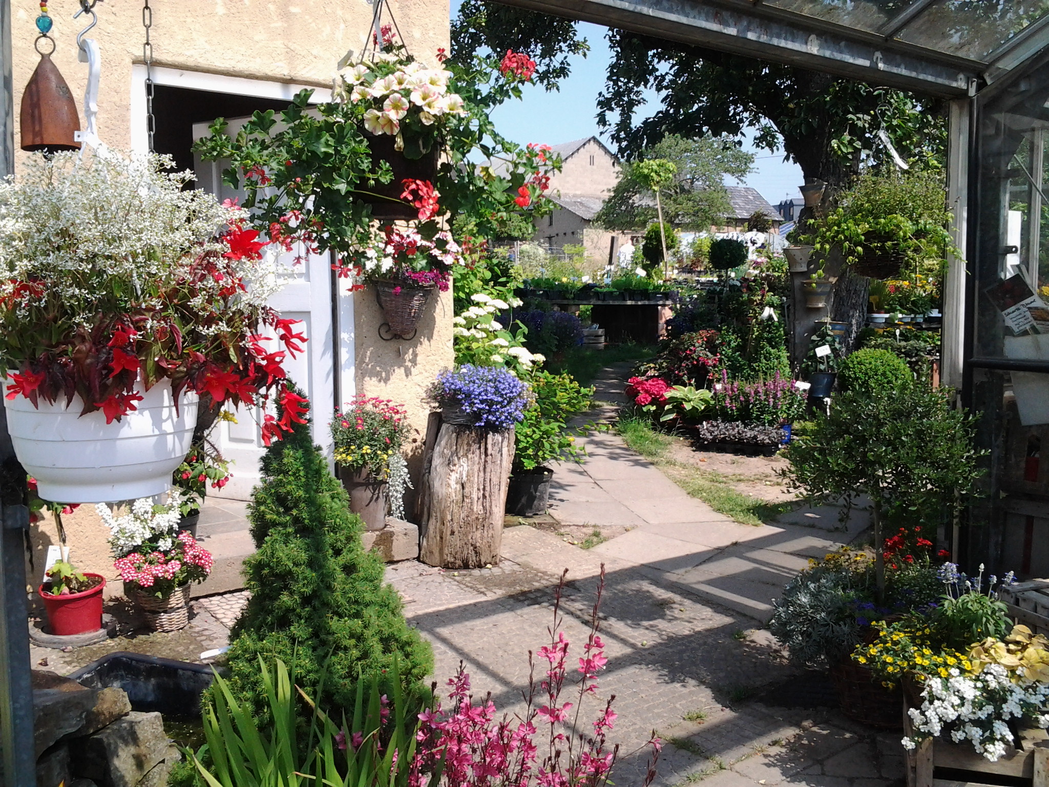 Gärtnerei Hammes Gärtnerei Hammes